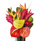 Fresh Hawaiian Flowers & Hawaiian Leis delivered Nationwide – Blooms of ...