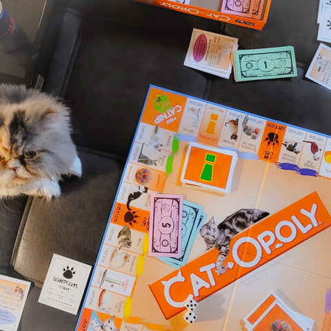 Playing Catopoly