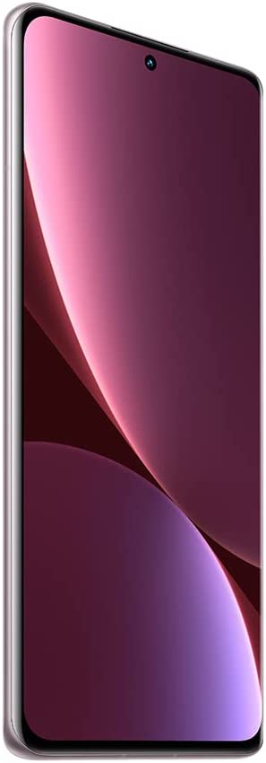 Xiaomi 12 Dual SIM 5G Purple 12GB RAM 256GB - Global Version - Newtech  Store Saudi Arabia