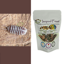 Load image into Gallery viewer, Chocolate Zebra isopods for sale with food
