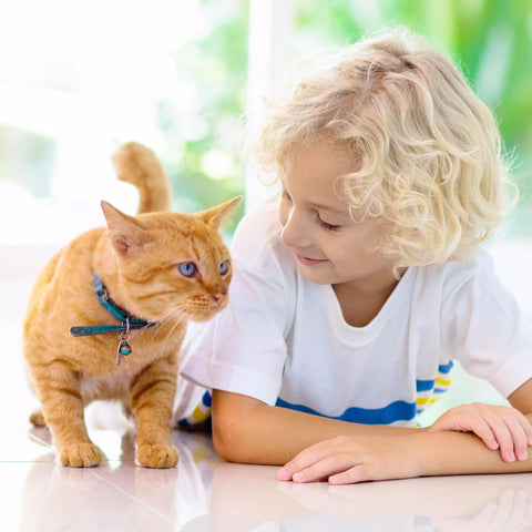 cat chore planner for kids