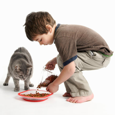 cat chores for kids - feed the cat