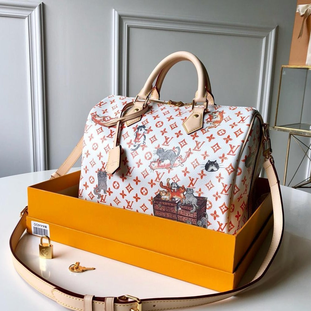 Louis Vuitton Speedy 30 Catogram