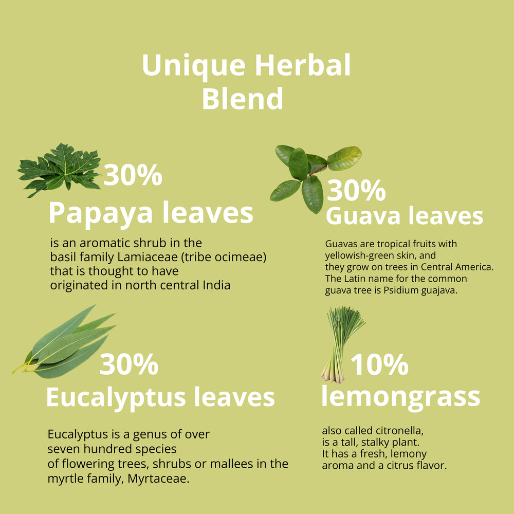 atraer Semejanza Envolver Top stress reducing Organic Caffeine tea bags |I cafeína orgánica té de  hierbas – Akshar herbs and spices