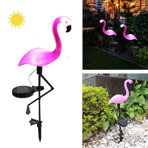 solar flamingo in day VS night