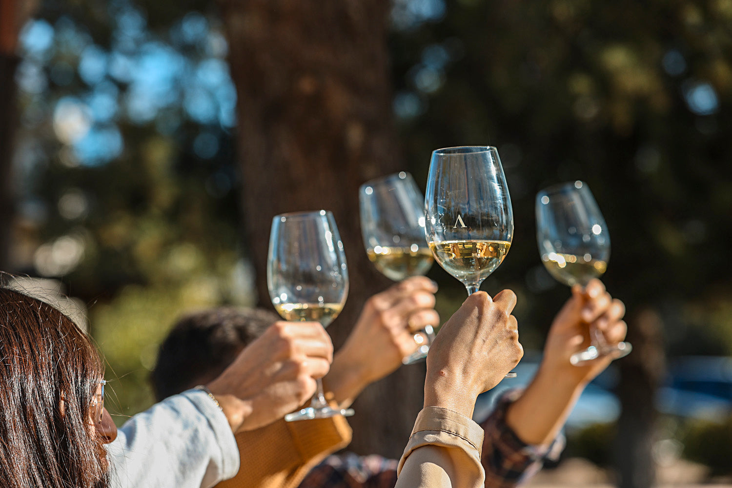 Four people raising glasses of white in the air to toast.