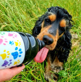 Dog Water Bottle