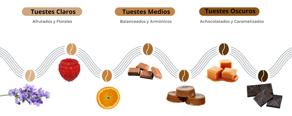 Notas que posee cada nivel de tueste