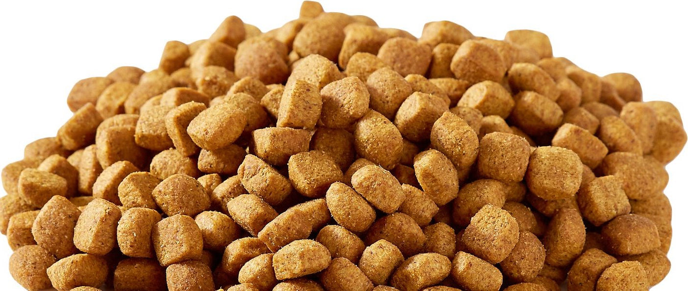 What is Kibble Dog Food? Kibble vs Fresh Dog Food Pets Love Fresh