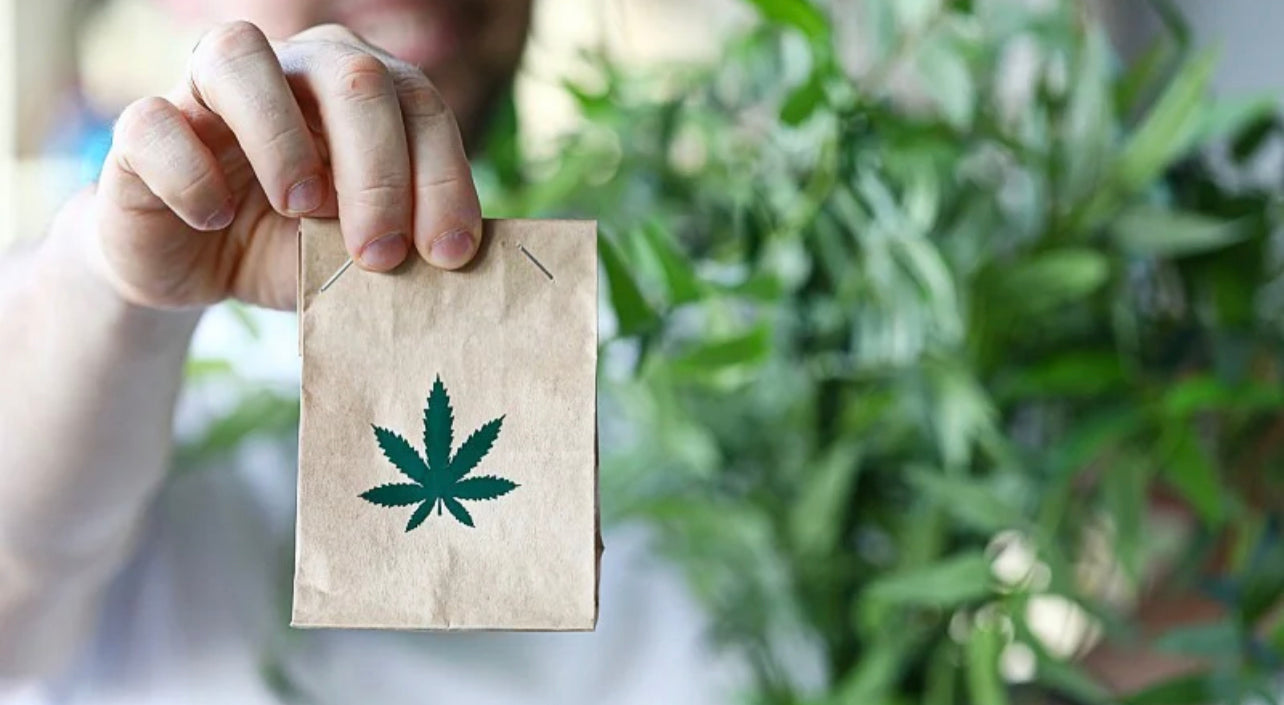 a man holding a paper bag with hemp leaf symbol