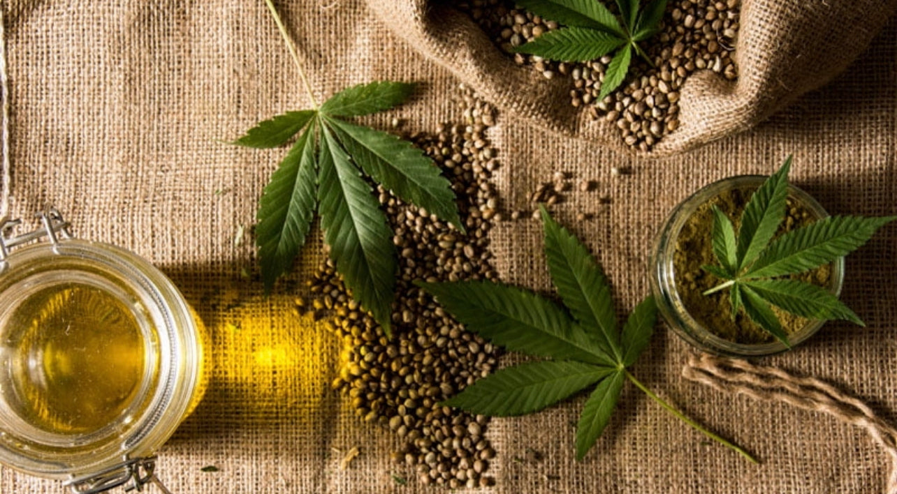 Hemp Leaves with Hemp Seeds and Oil in a Knit Clothes