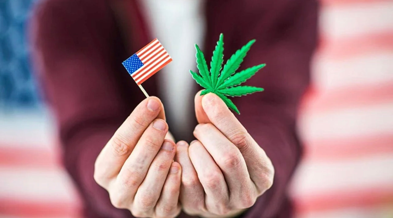 woman holding a small American flag and a hemp leaf with a big US flag behind