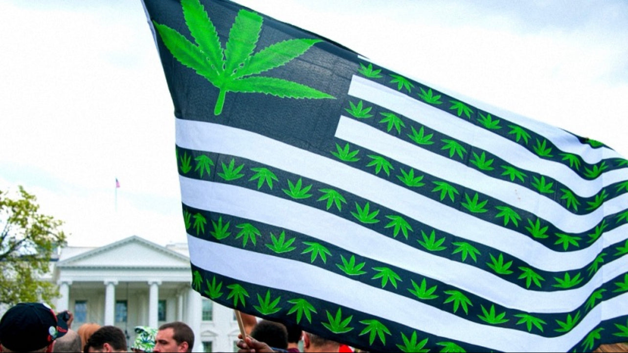 Image of marijuana leaf flag