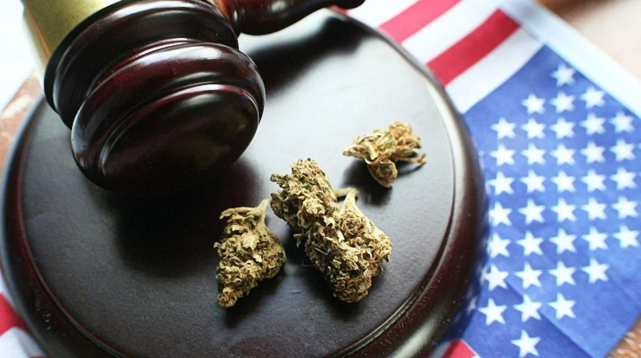 hemp buds on a gavel with a mallet and US Flag beneath