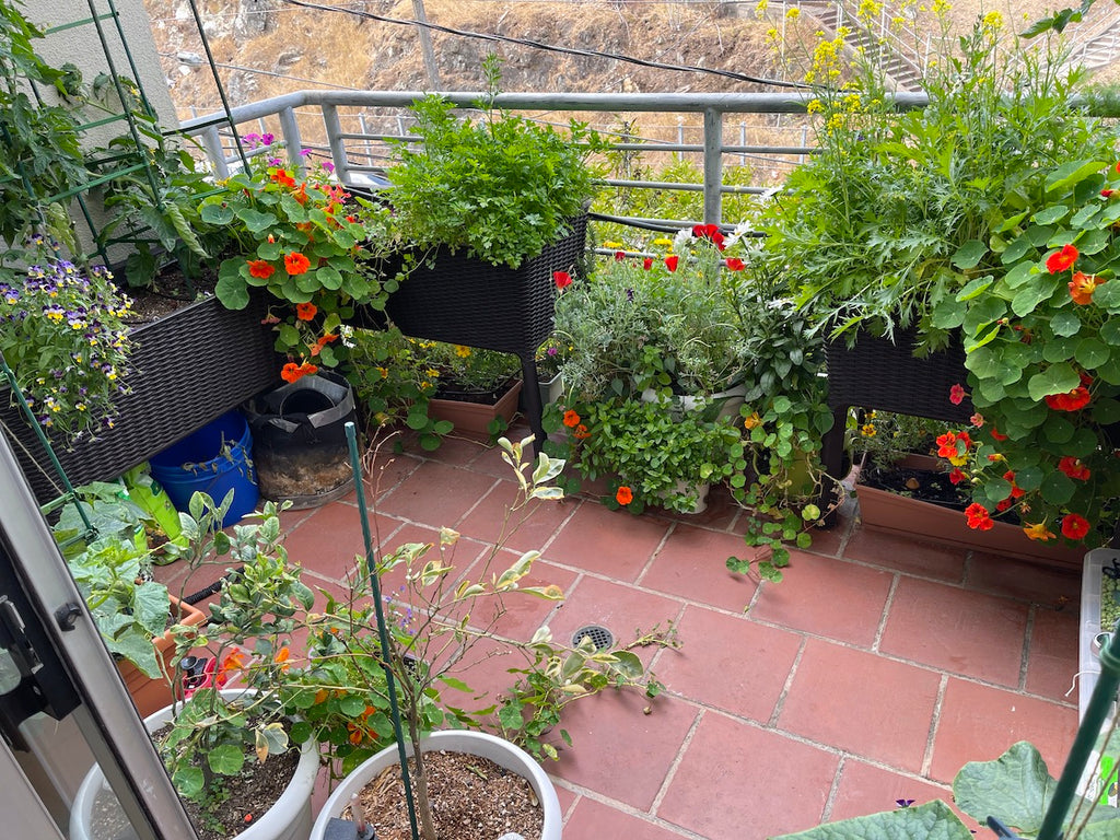 Flower garden on a balcony