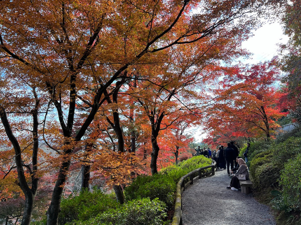 Kyoto Japanese Garden