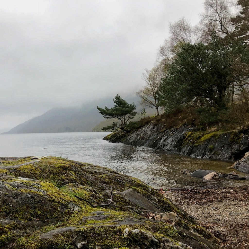 Scottish landscape