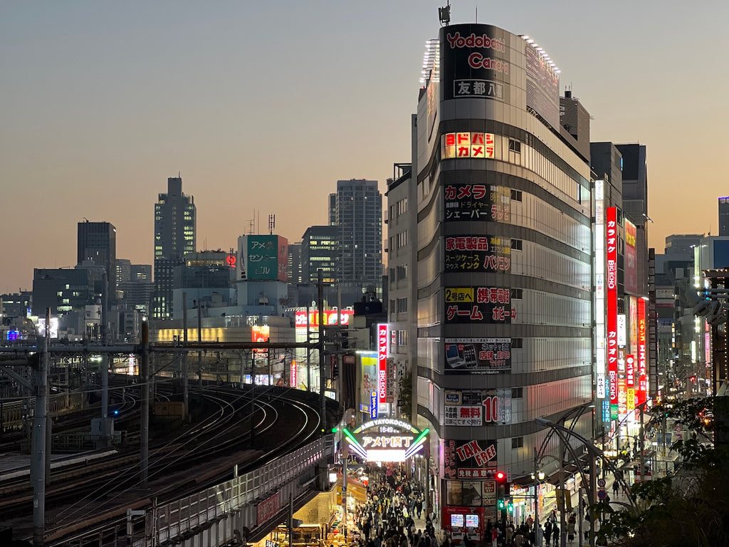 Unforgettable Tokyo, the largest and most futuristic city in the world