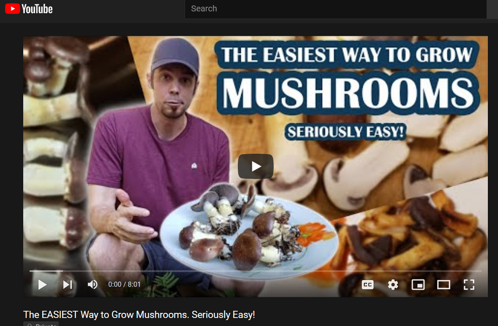 Link to you tube video, the easiest way to grow mushrooms