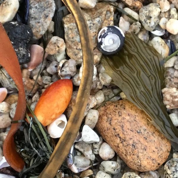 orange stone and kelp