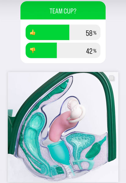 survey graph with menstrual cup in anatomy model