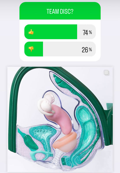 menstrual disc survey with a menstrual disc in the anatomy model