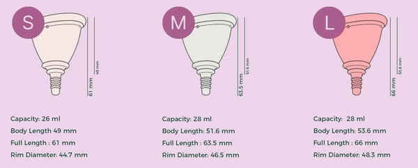 leia cup dimensions