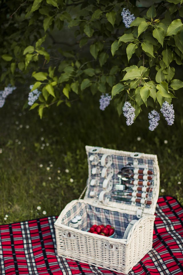 A wicker picnic bag stands on a blanket