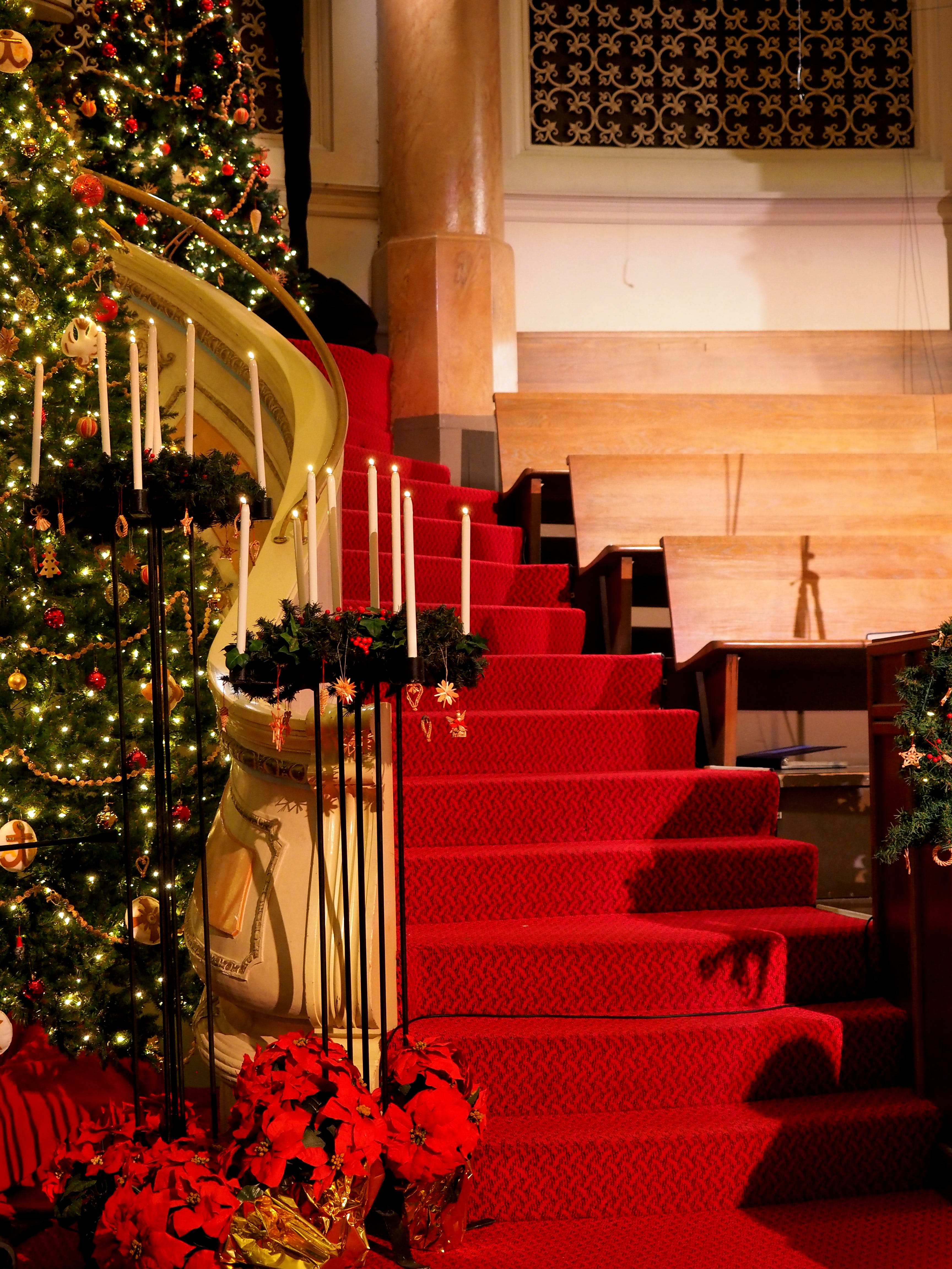 Staircase with red carpet and Christmas tree