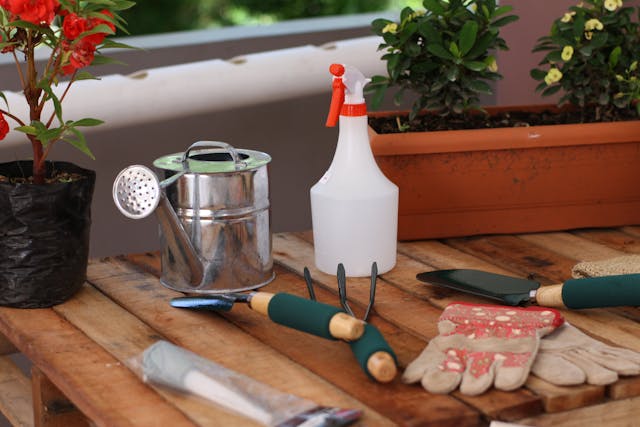 Set of gardening tools and flower pot
