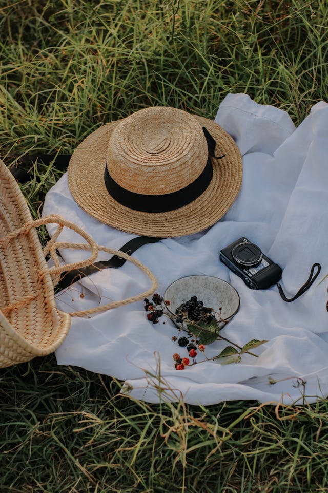 There is a blanket on the grass with a camera, a hat and a bowl of berries on it