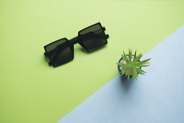 Sunglasses and a small flower in a pot