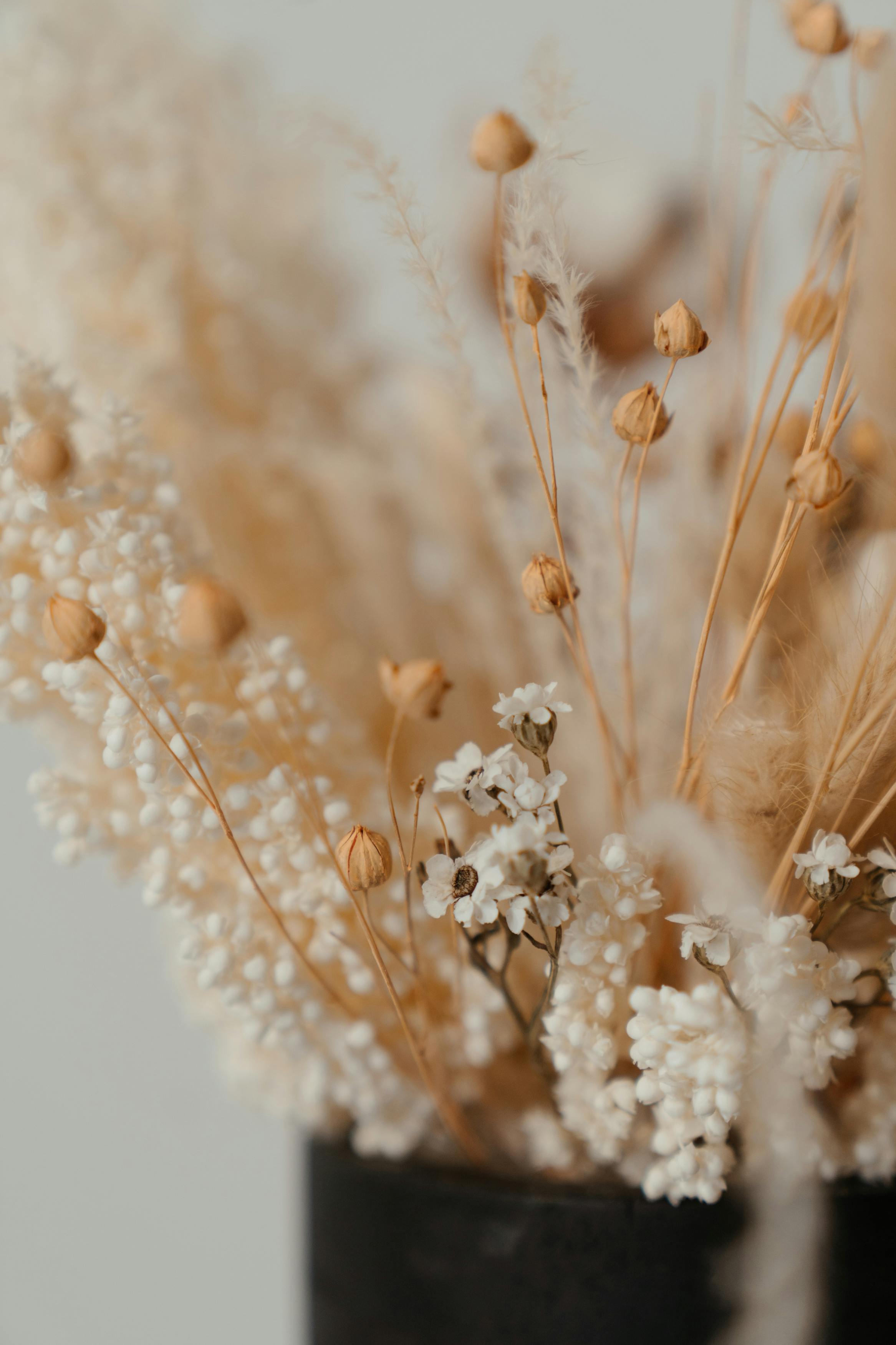 Bouquet of dried flowers