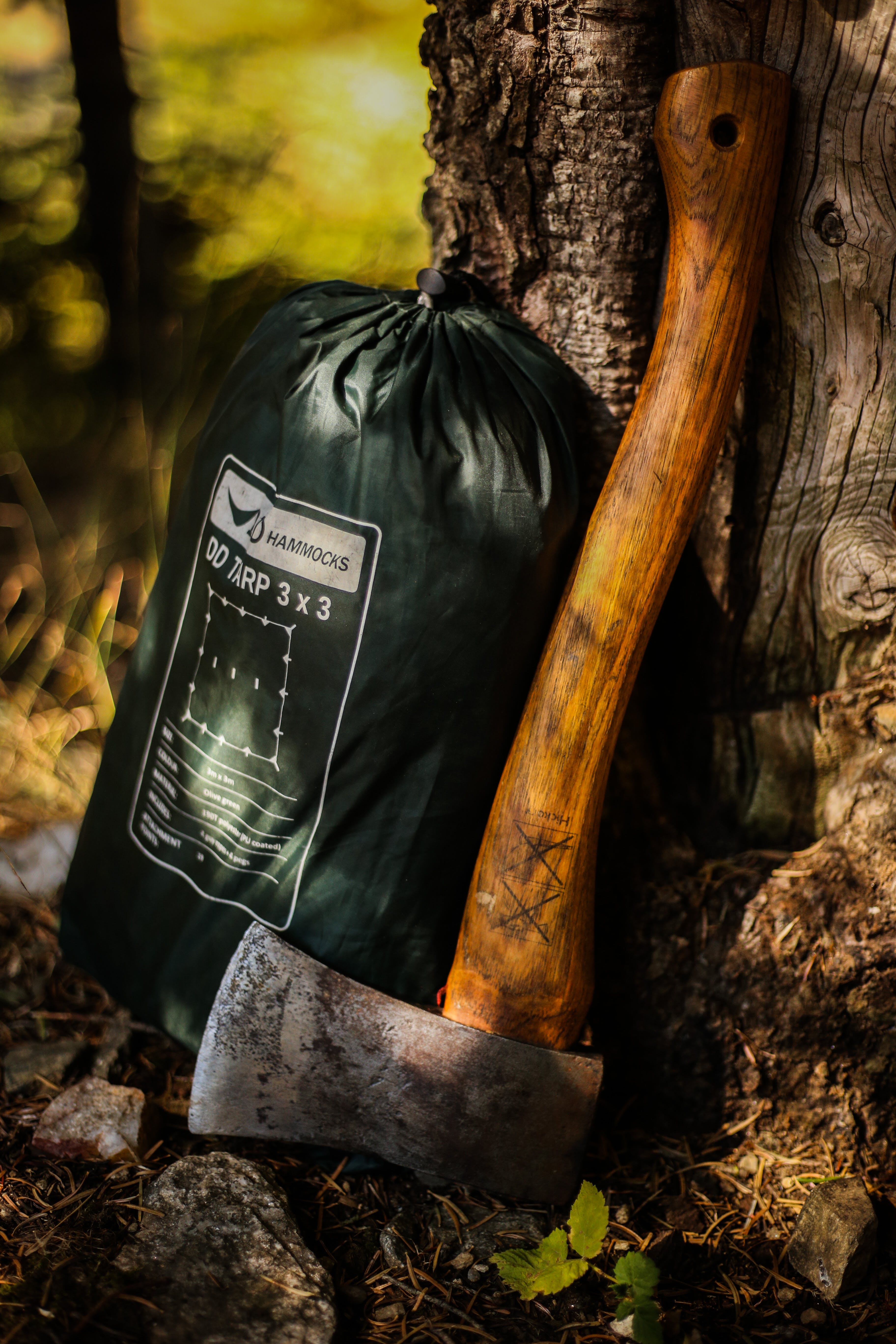 Ax and duffel bag near a tree