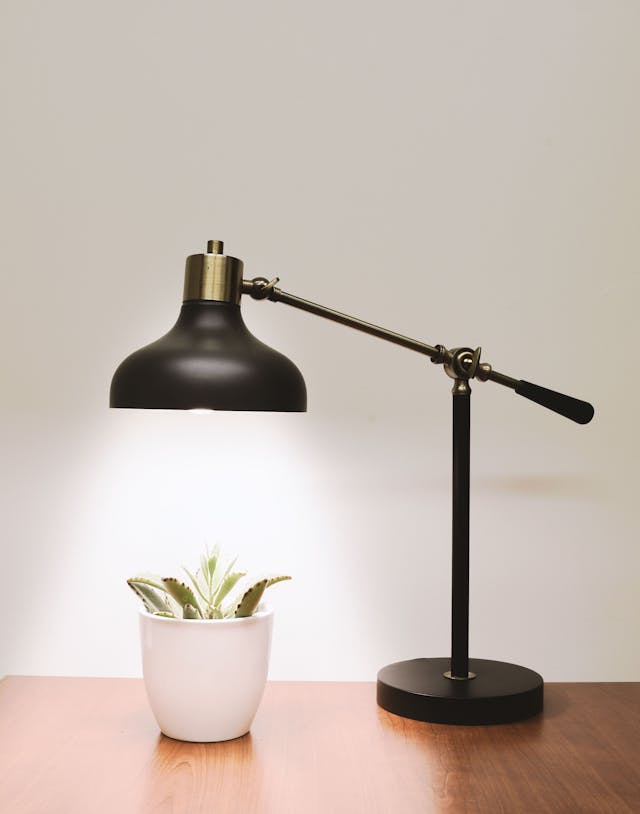 Table lamp shines on a flower in a pot