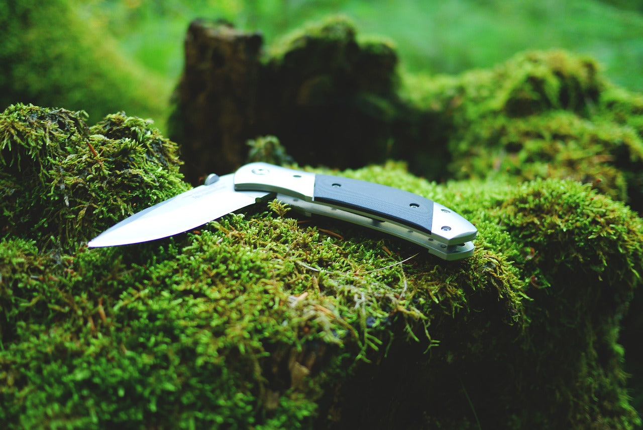 Folding knife on green moss