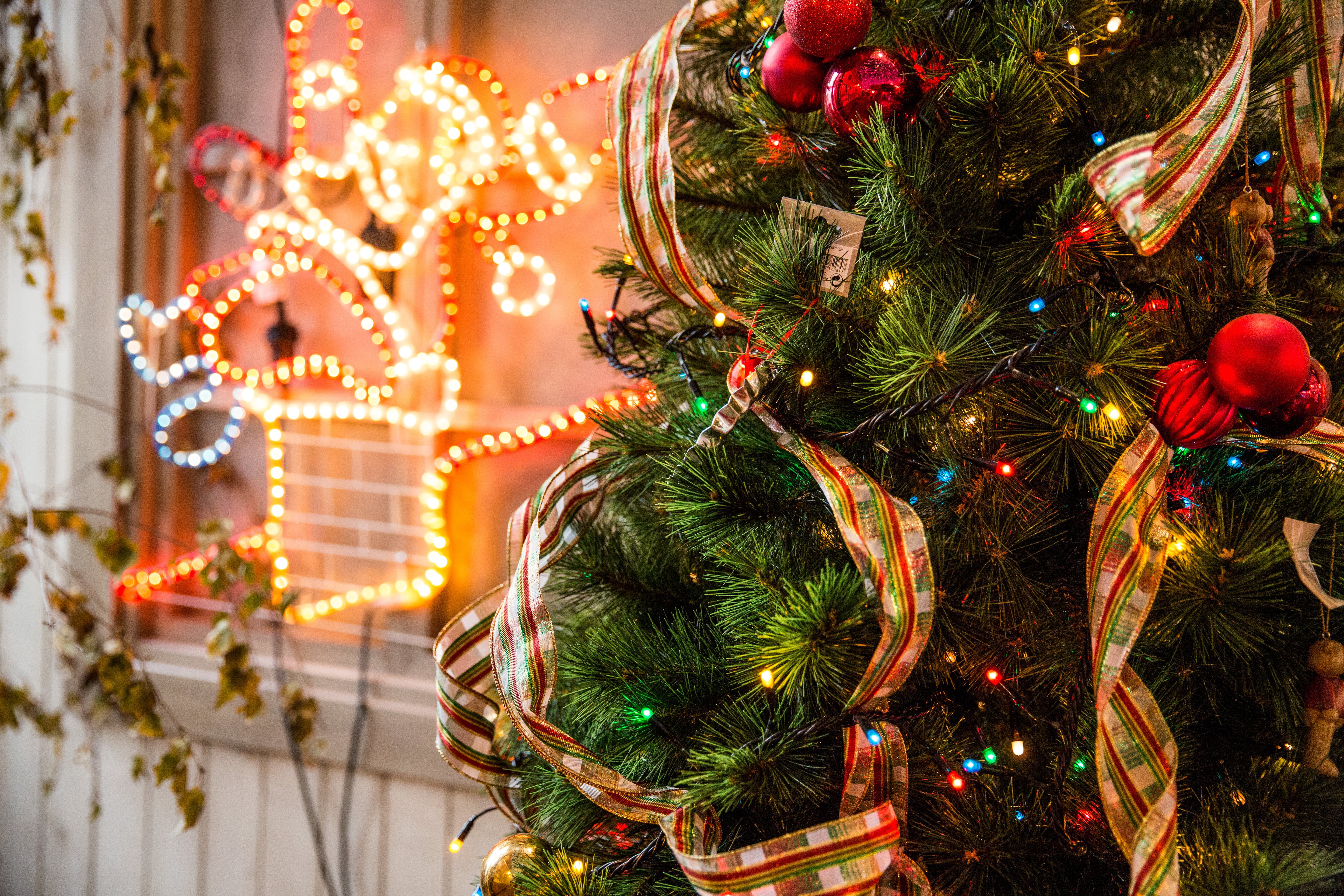 Ribbons, balls and light bulbs on a Christmas tree