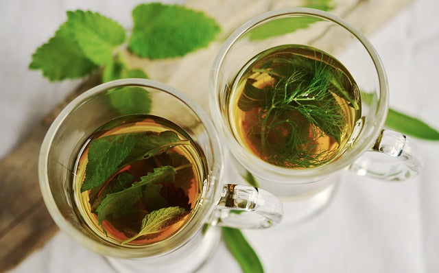 Two glasses of herbal tea with fresh leaves