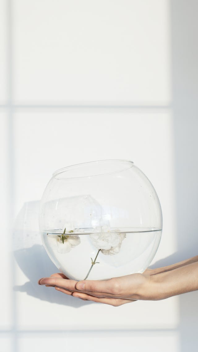 A small aquarium with flowers inside stands on the palm