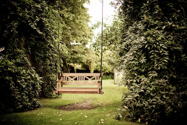 Wooden swing on a lawn between trees