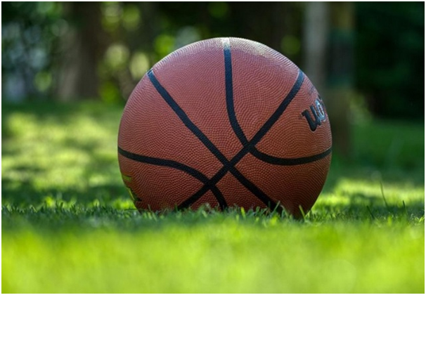  Basketball ball lies on the green grass