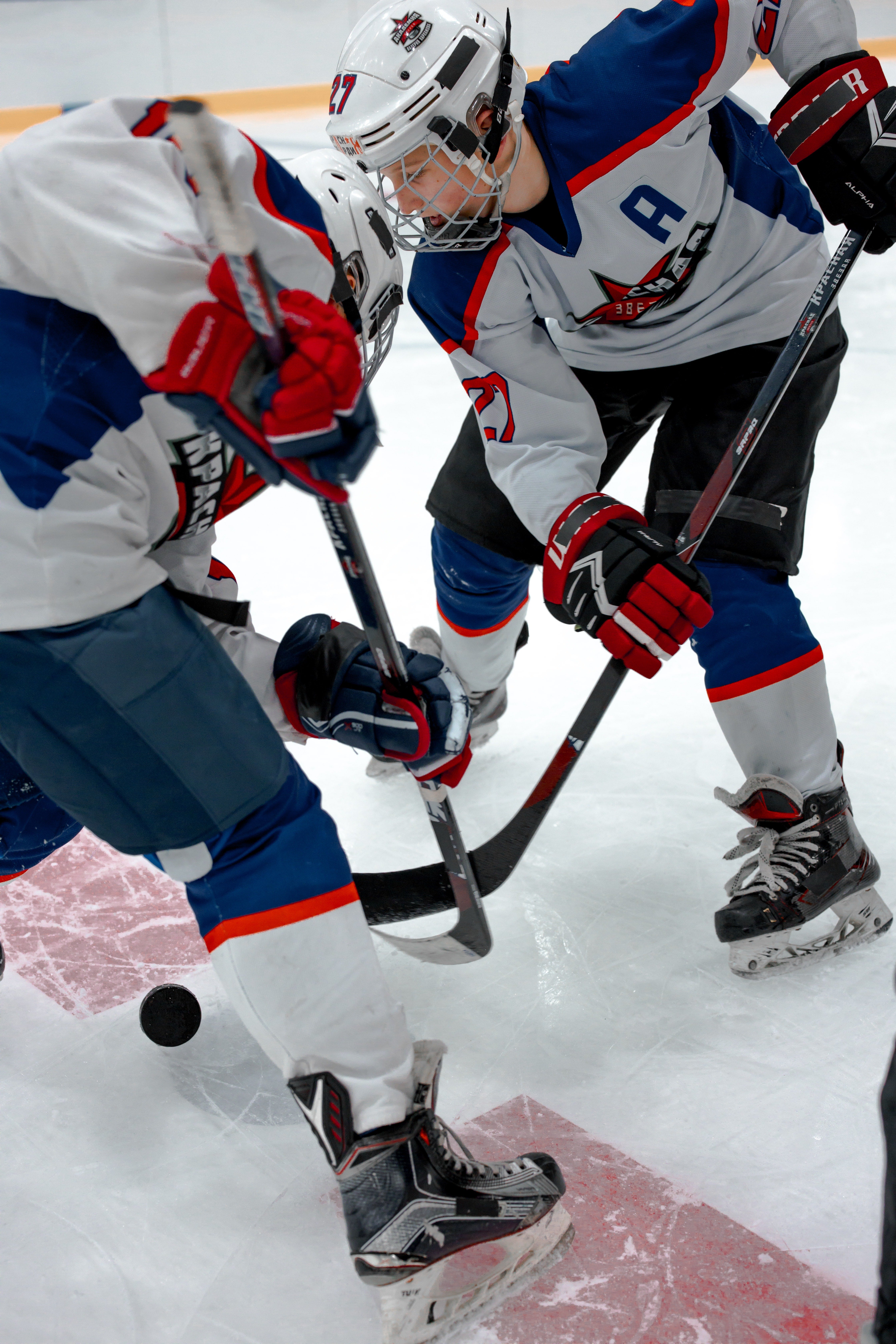 Two hockey players fighting for the puck