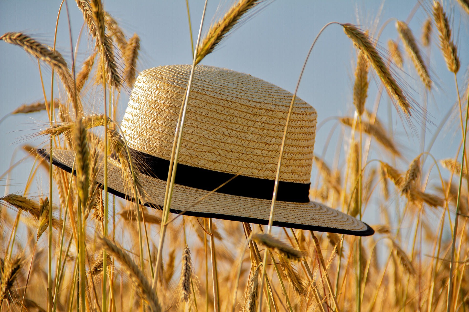 Wicker hat on wheat ears