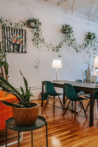 Living room with many potted flowers