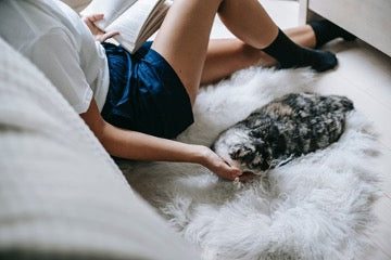 A girl in a white T-shirt and blue shorts is reading a book on the bed and stroking a cat