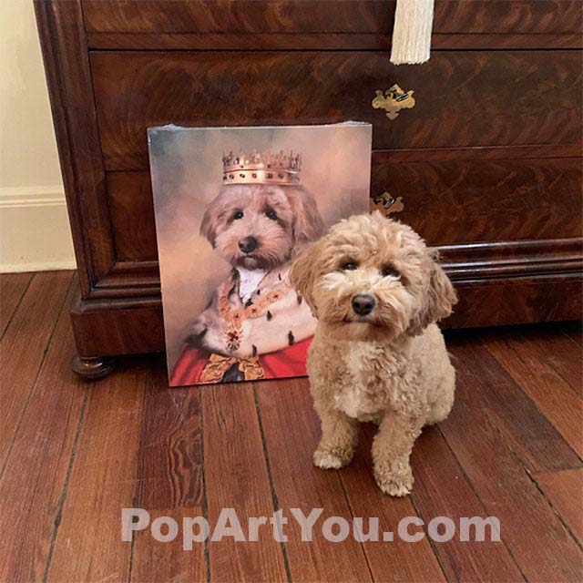 The Cavapoo sits on the floor next to a portrait depicting him dressed as a Lord