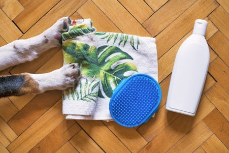 Dog paws, towel, brush and white bottle on brown floor