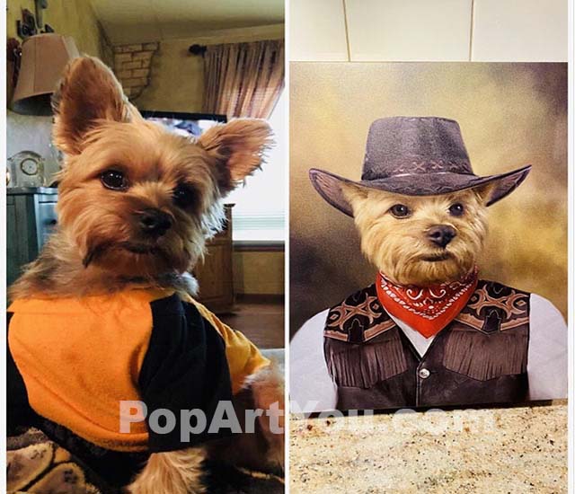 Yorkshire Terrier in an orange sweater and a portrait of this terrier dressed as a wild west character