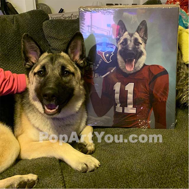 A German Shepherd dog lies next to his portrait, which depicts him as an American football player
