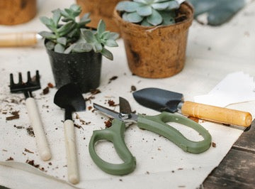 A set of gardening tools on a table next to potted flowers